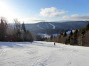 Ampia pista standard