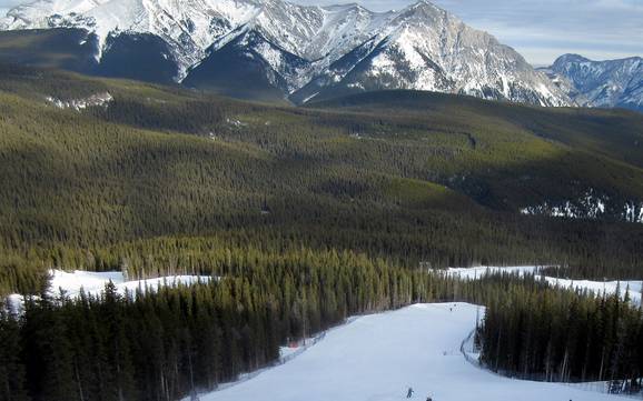 Kananaskis Range: Rispetto ambiente dei comprensori sciistici – Ecologia Nakiska