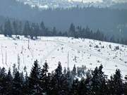 Piste da fondo del centro di sci nordico Bretterschachten