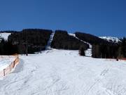 Discesa per famiglie