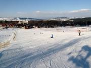 Piste per principianti nella zona a valle