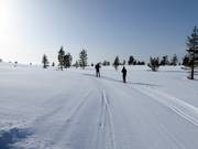 Piste da fondo a Idre Himmelfjäll