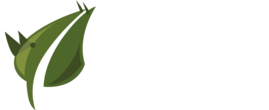 Dzikowiec - Boguszów-Gorce