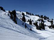 Discese in neve fresca dall'Hühnerspiel