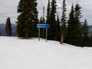 Segnaletica delle piste