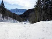 Discesa facile Rehkogel