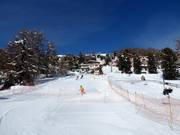 Discesa a valle verso Suvretta