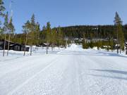 Pista Backrået Nr. 7