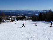 Piste facili presso lo Zirbenlift 2