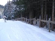 Recinzione per la protezione del bosco