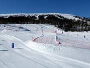 Suggerimento per i più piccoli 