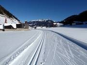 Pista da fondo a Weißenbach