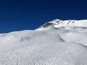 Pendii di neve fresca tra Leist e Plattis