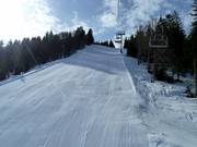 Pista FIS Standard Kohlerhang