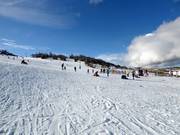 Pista facile Woodrun