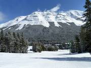 Pista principianti Flap Jack