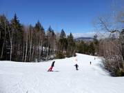 Pista facile Green Cheese