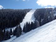 Pista difficile n. 19c Gvozdac