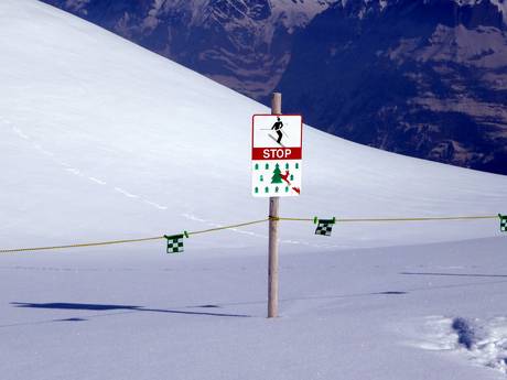 Espace Mittelland: Rispetto ambiente dei comprensori sciistici – Ecologia Kleine Scheidegg/Männlichen - Grindelwald/Wengen