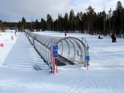 Leevilandia 1 - Tapis roulant/Tappeto Magico con galleria