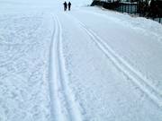 Pista da fondo a Flachau