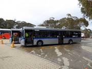 Bus navetta presso il Mount Buller Alpine Village