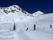 Pista speed sulla Fiescheralp con funzione fotografica