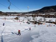 Steckenberglift IV (A) - Skilift a piattello