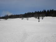 Facili discese presso lo skilift Hausörterlift