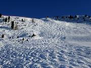 Pista di gobbe al Ciampinoi