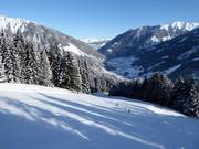 Pista Familienschuss