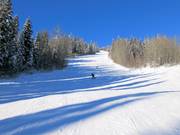 Discesa intermedia Cruiser