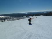 Area di esercitazione Alpe con tappeto coperto di 186 m