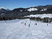 Per principianti: pista ampia e pianeggiante Roßalm (Winklmoosalm)