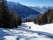 Discesa attraverso il bosco verso la sezione II di Acherkogel