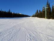 Pista facile School House