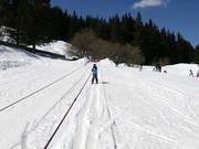 Sciovia B separata presso Aleko (non inclusa nello skipass)