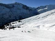 Pista di collegamento Burstplangge