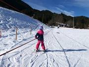 Sciovia nel paradiso per principianti