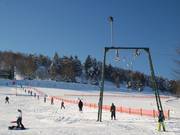 Mittlerer Wilddieblift - Skilift a piattello