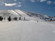 Piste FIS & Superrinne (n. 24 & 25)