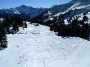 Pista facile da Mellau a Damüls