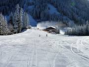 Terreno ideale per principianti presso lo skilift Kreisten