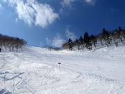 Pista intermedia Technical