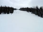 Discesa larga Snow Rodeo