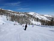 Pista facile Bandana