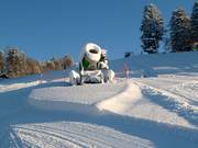 Cannone da neve presso la pista Reiserhang