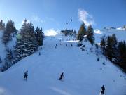 Discesa di Coppa del Mondo