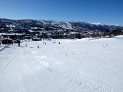 Suggerimento per i più piccoli 