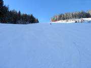 La difficile discesa nord al Rittisberg